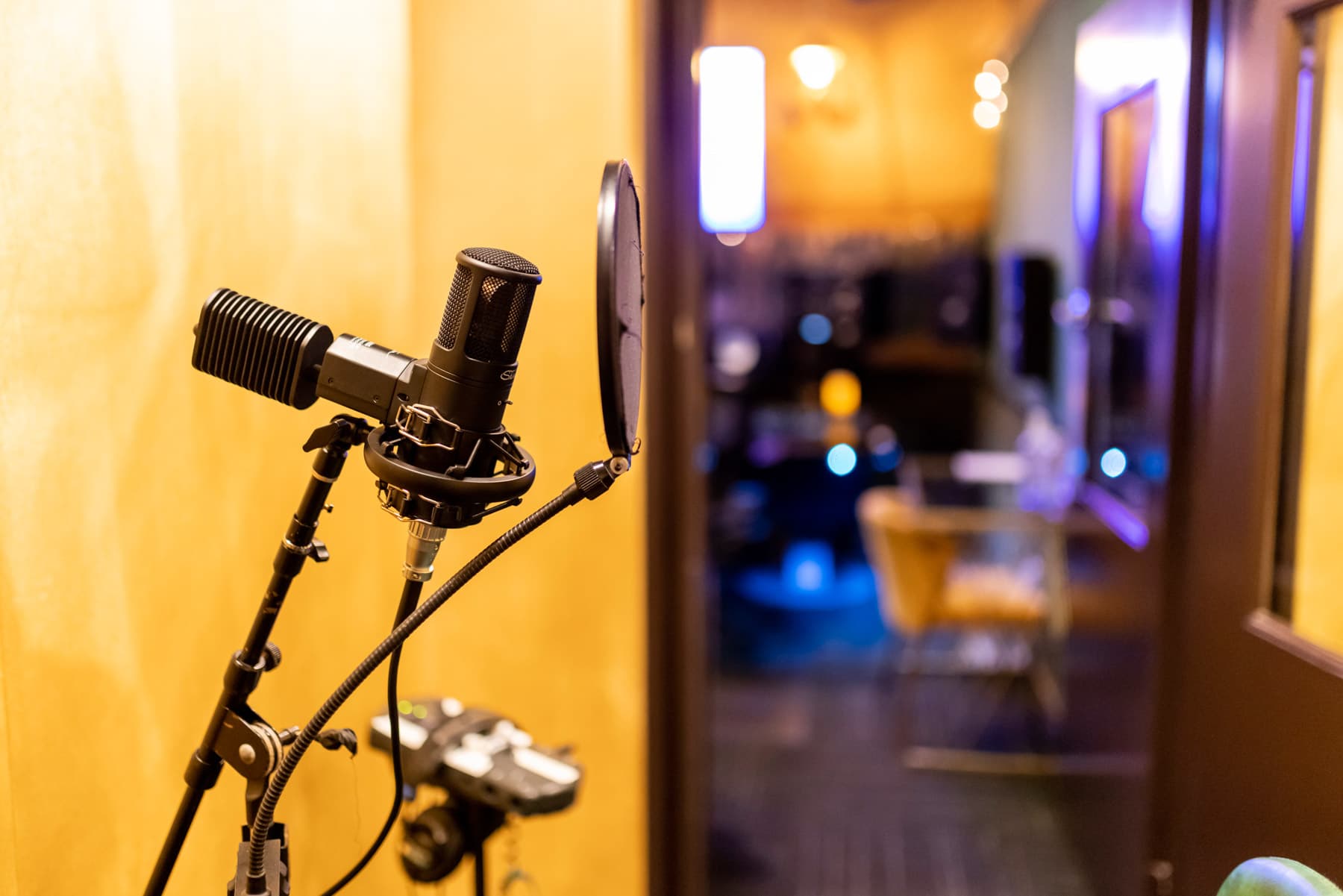 Microphone and pop filter close-up — Studio B vocal chain.